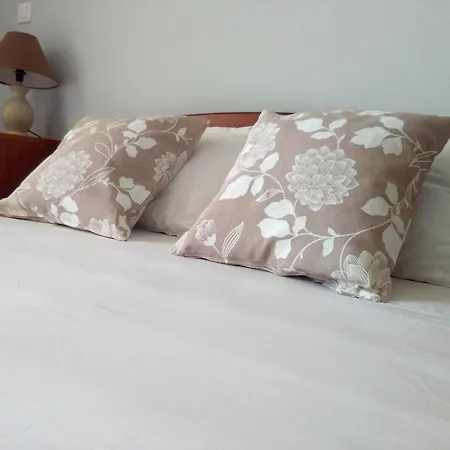 Irini Seaside Apartament Nikiana
